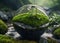 a globe resting on a rock covered with green moss