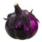 Globe ribbed aubergine Solanum melongena fruit, whole, isolated