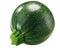 Globe striped  Zucchini Cucurbita pepo fruit,  isolated