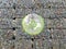 A globe surrounded by polygon leaves. and has a bottle bale background. Recycle icon, sustainable icon and Bottle icon. Chemical c