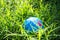 Globe Word on planet grass background.