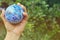 Globes in the hands of Background blurred trees free space sunlight abstract earth nature blue