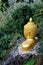 Gloden buddha in mountian