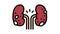 glomerulonephritis kidney disease color icon animation