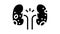 glomerulonephritis kidney disease glyph icon animation