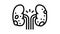 glomerulonephritis kidney disease line icon animation