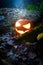 Glooming halloween lantern in the forest
