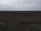 Gloomy agricultural field after harvesting corn. Overcast landscape