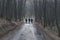 Gloomy autumn park in cloudy cold weather, gloomy paints of fall. Walking three man in autumn deserted forest on the road to frost