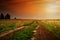 A gloomy field road in the middle of the countryside in dramatic evening light. Summer somber landscape