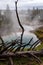 Gloomy Landscape of fallen tree in front of steaming thermal ponds