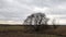 Gloomy landscape in late autumn or early spring timelapse
