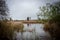 gloomy photo of a beautiful view of the swamp on a cloudy day