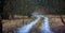 Gloomy rainy day in forest visible through car window.  Road path with little snow.