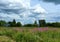 Gloomy sky before the rain over the field in front of the village