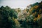 Gloomy sky, river and autumn trees