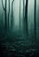 Gloomy, spooky, foggy dark forest landscape. Surreal mysterious horror forest background