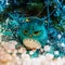 A gloomy turquoise owl sits under a Christmas tree dressed in balls, garlands, tinsel, artificial snow