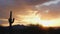 Glorious Desert Sunset with Saguaro