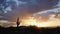 Glorious Desert Sunset with Saguaro Zoom In Time Lapse