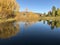 Glorious fall colors reflected on Frenchtown Pond yellow quaking aspen and silver birch