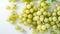 Glorious Glow: Captivating View of Abundant Shine-Muscat Grapes on a White Canvas