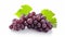 Glorious Grapes: A Vibrant Display on a White Canvas -