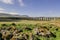 Glorious Morning at Ribblehead Viaduct