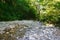 Glorious mountain creek among southern forests