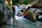 Glorious refreshing waterfalls on mountain stream