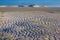 Glorious sand dune in the distance over empty tidal lagoon