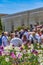 Glorious white and purple tulips flourishing under sunlight in spring