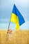 Glory to Ukraine. Boy waving ukrainian flag on wheat field