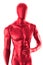 Gloss red color mannequin male isolated