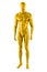 Gloss Yellow color mannequin male isolated