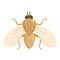 Glossina tsetse fly icon cartoon vector. Africa insect