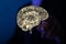 Glossy 3d rendered human brain on a dark blurry background