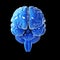 Glossy blue brain