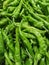 Glossy Fresh Chilly Green Pepper Vegetable Farmer Market Organic Plants Vegan Diet Meal Raw Veggies Vegetarian Food