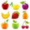 Glossy fruit set