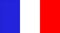 Glossy glass  flag of France