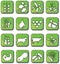 Glossy Green Farming Crop Icons