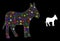 Glossy Net Donkey Icon with Constellation Color Light Spots