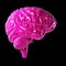 Glossy pink brain