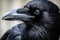 Glossy Raven closeup corvus. Generate Ai