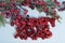 A glossy red plastic Christmas ornament featuring a text saying merry xmas