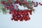 A glossy red plastic Christmas ornament featuring a text saying merry xmas