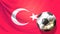 Glossy soccer football ball front of turkish flag. Turkey