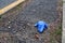 Glove, Disposable Glove, Litter, Coronavirus, COVID-19, Rutherford, NJ, USA