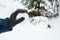 a gloved hand throws a snowball in the snowfall in forest